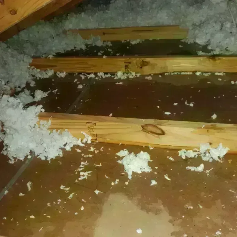 Attic Water Damage in Blanchard, OK