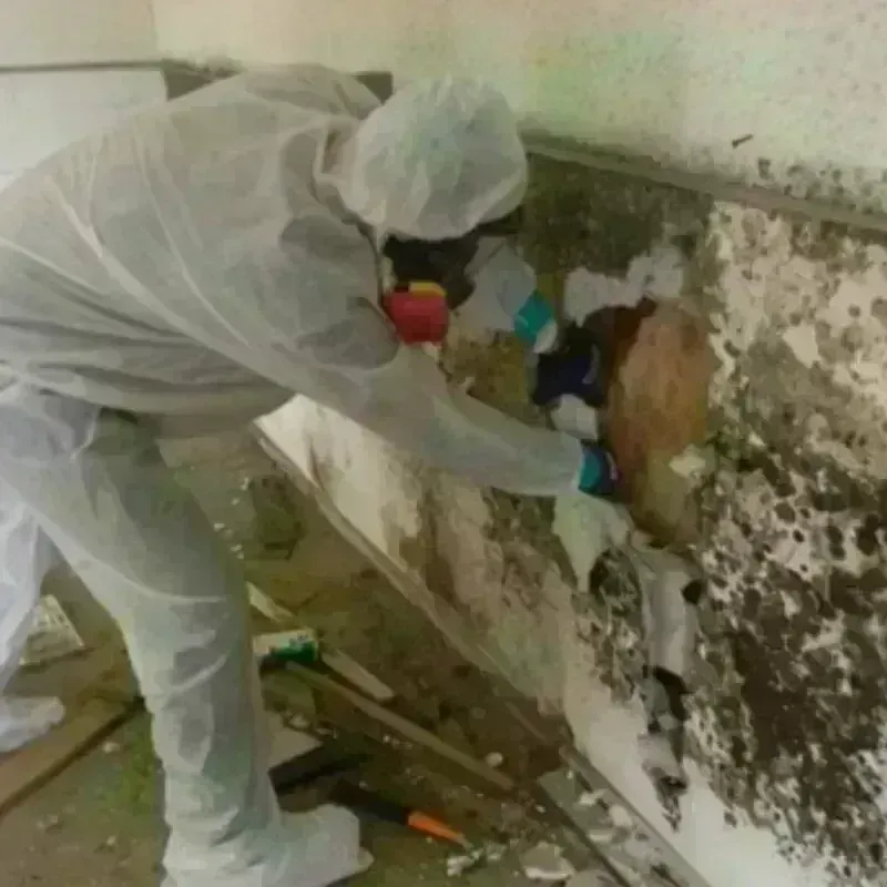 Mold Remediation and Removal in Blanchard, OK