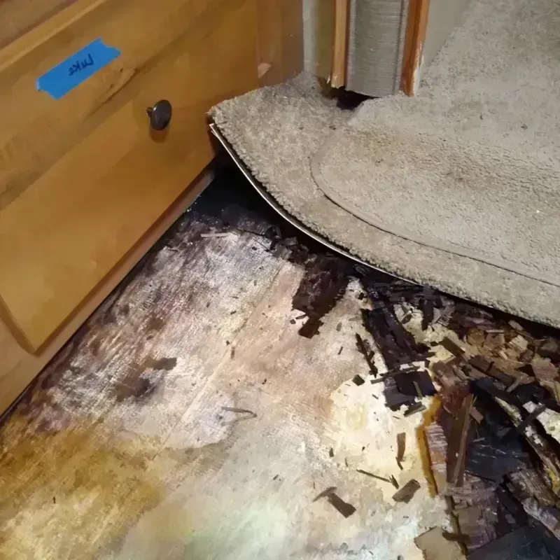 Wood Floor Water Damage in Blanchard, OK